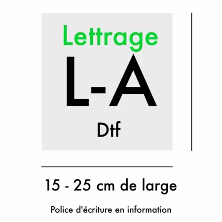 Lettrage Dtf personnalisé grand format