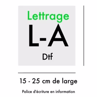 Lettrage Dtf personnalisé grand format