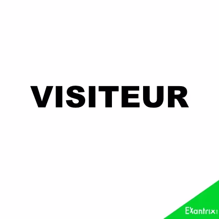 Visiteur en impression Dtf textile